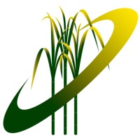 LPI